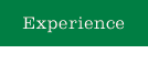 Experience